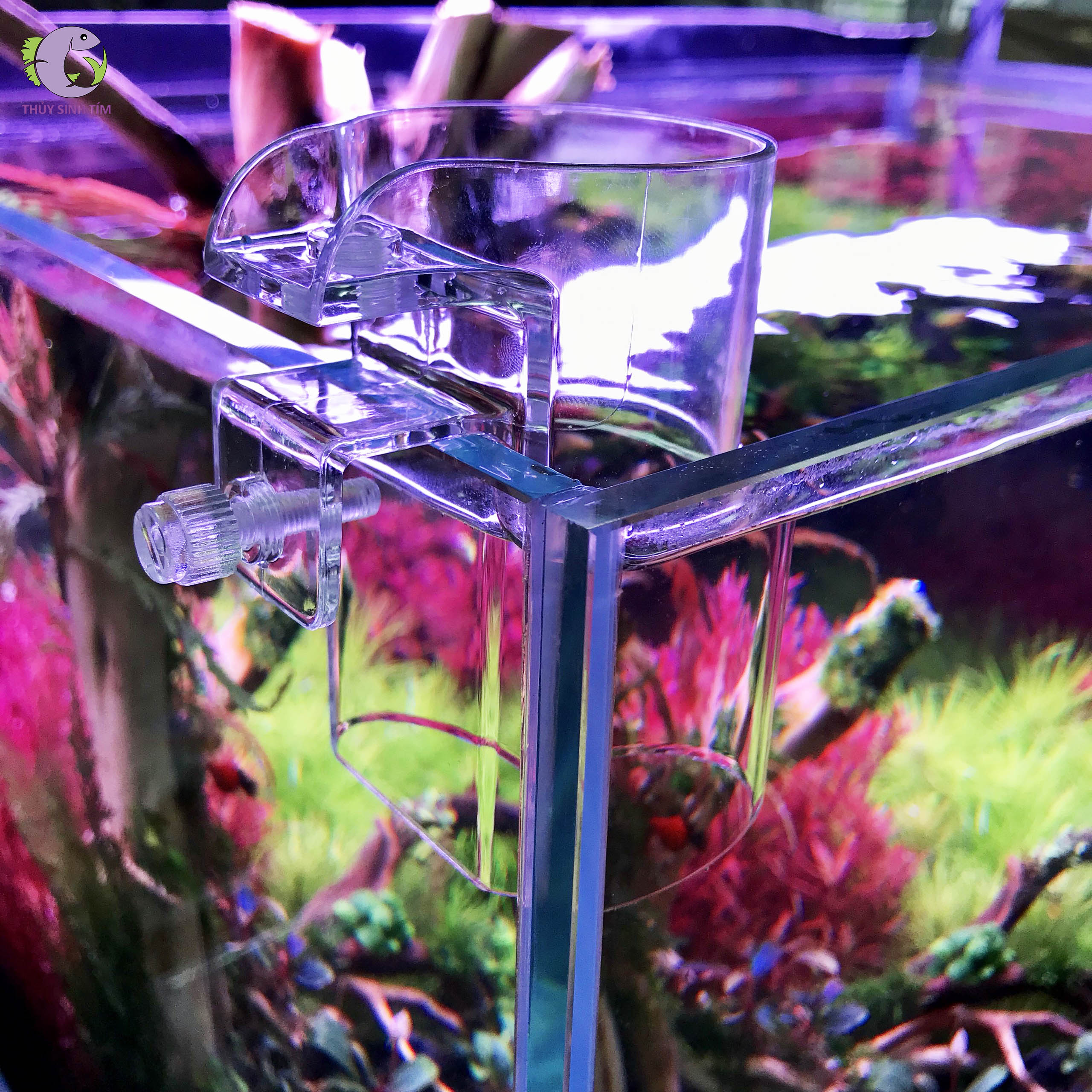 ống cho cá ăn acrylic - 2