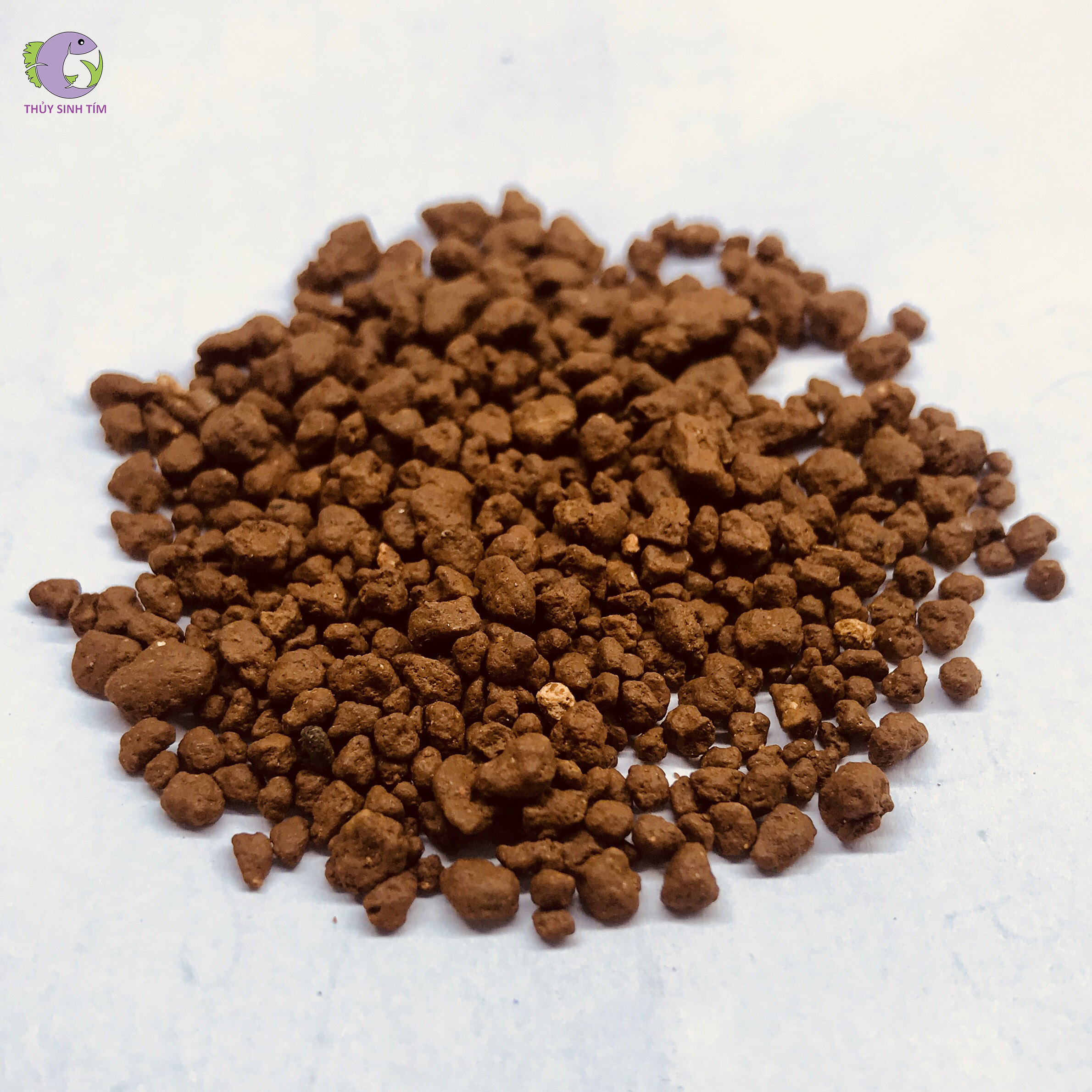 phân nền ada africana - 2