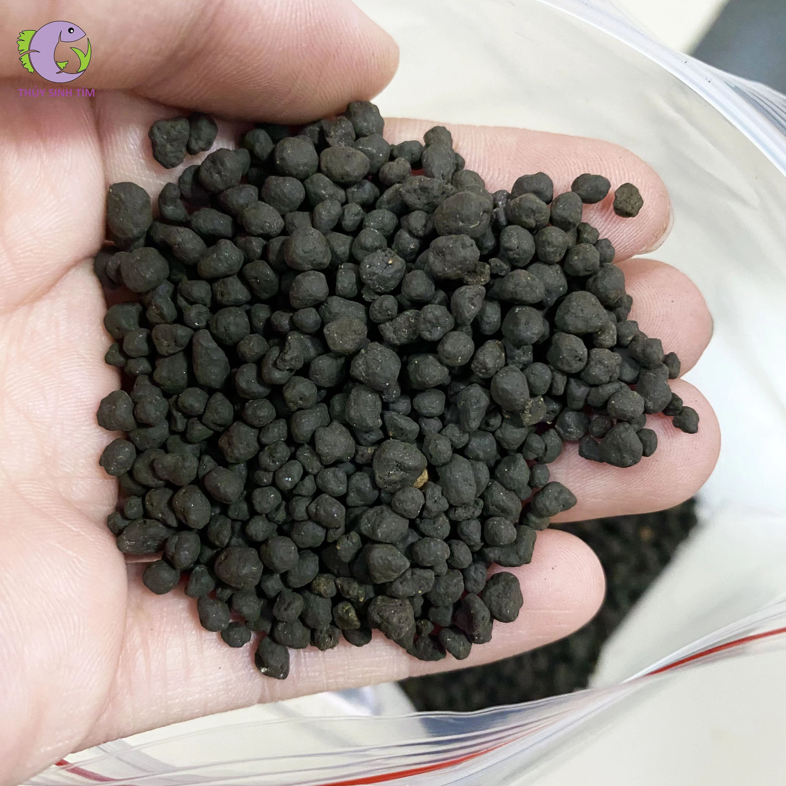 Phân Nền ADA Amazonia Ver.1 (9L) - CHỮ VÀNG-2