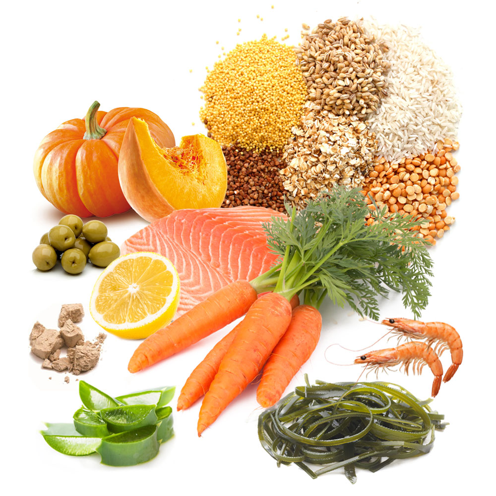 Thức Ăn Dạng Mảnh Cho Cá Ăn Thực Vật VEGETABLE FLAKES prodac -