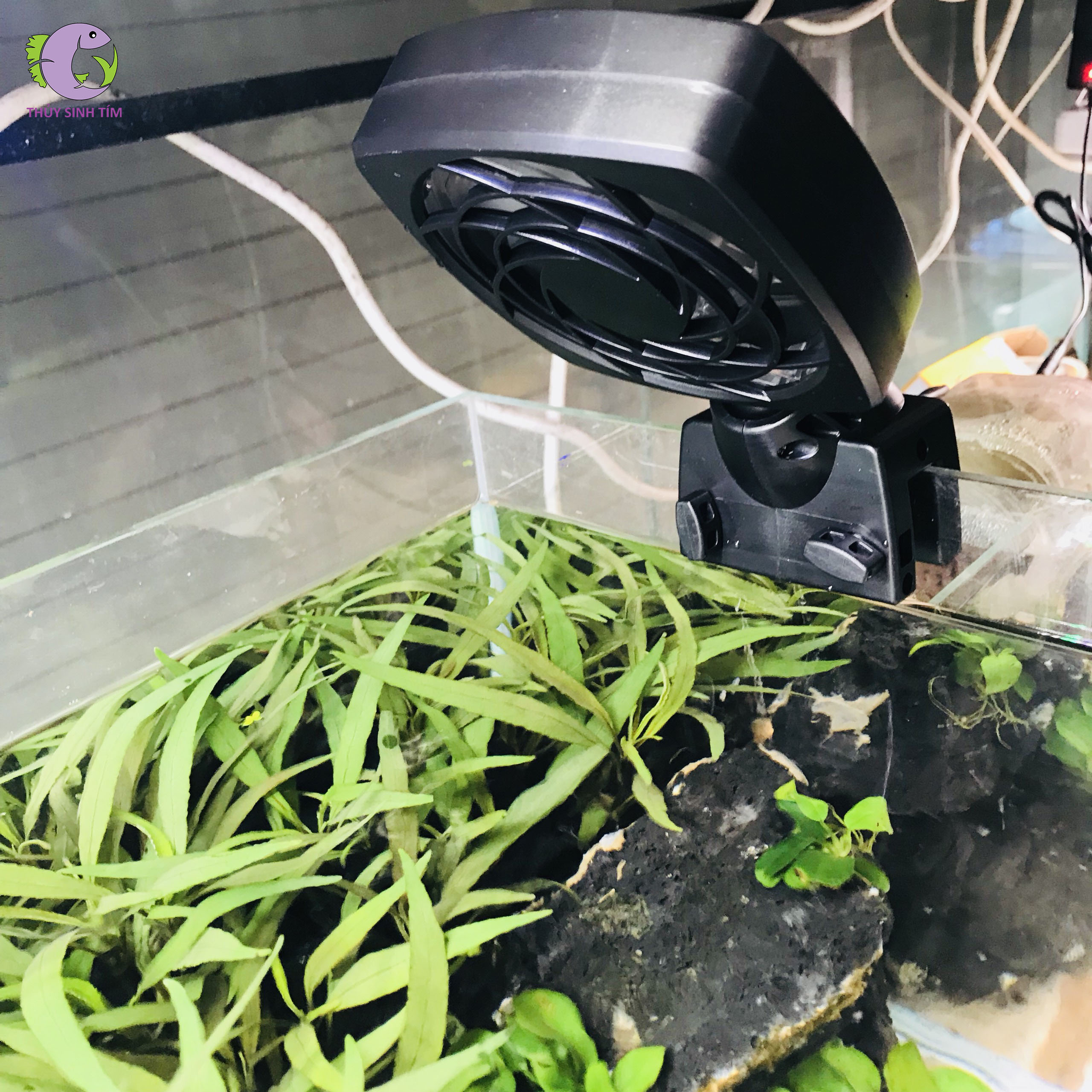 quạt bể cá xoay 360 độ - 2