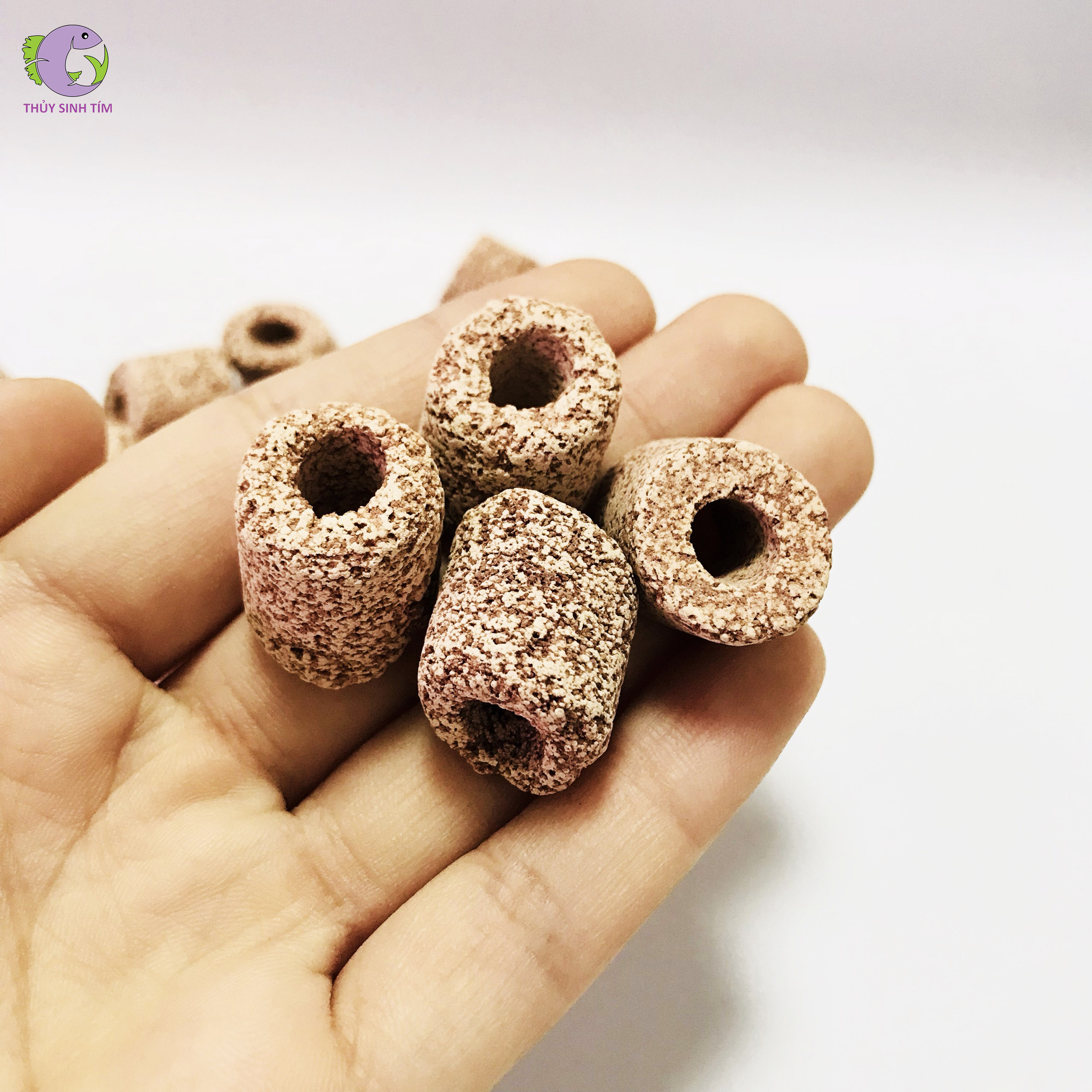 sứ lọc cao cấp maifan ring mountain tree - 3