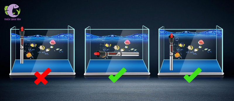 Sưởi Bể Cá Inox Xilong XL-999 - 4