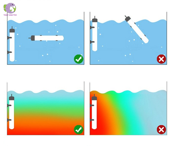 sưởi bể cá thủy tinh atman eh-100w - 3