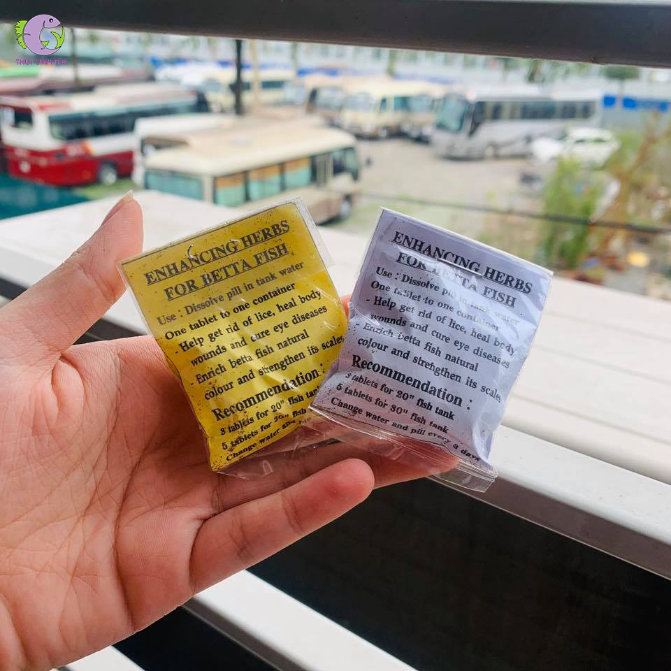 thuốc dưỡng và chữa lành betta thái lan - 1