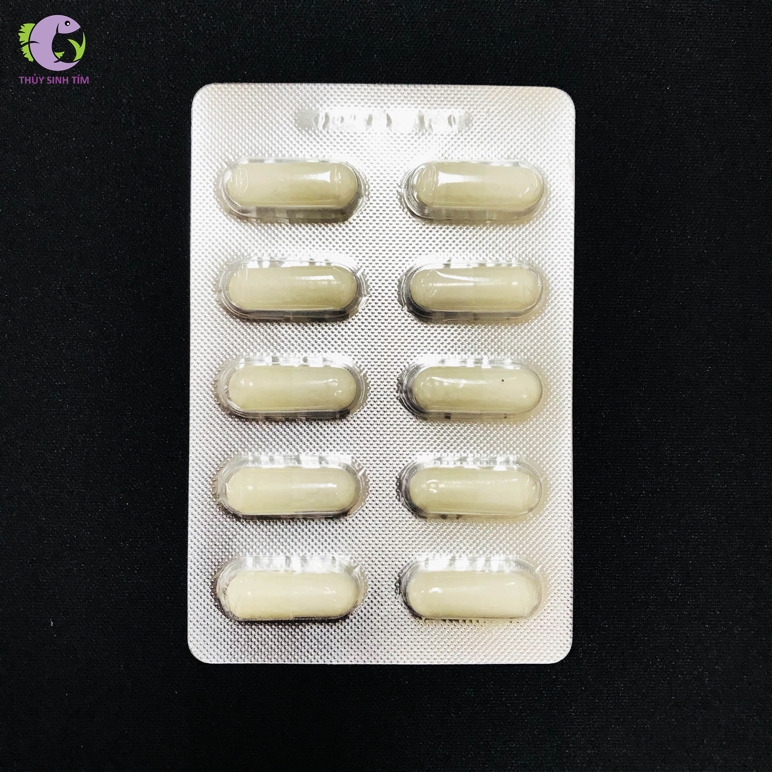 Thuốc Sát Khuẩn Hồ Cá Tép Pranee Aquarium - 1