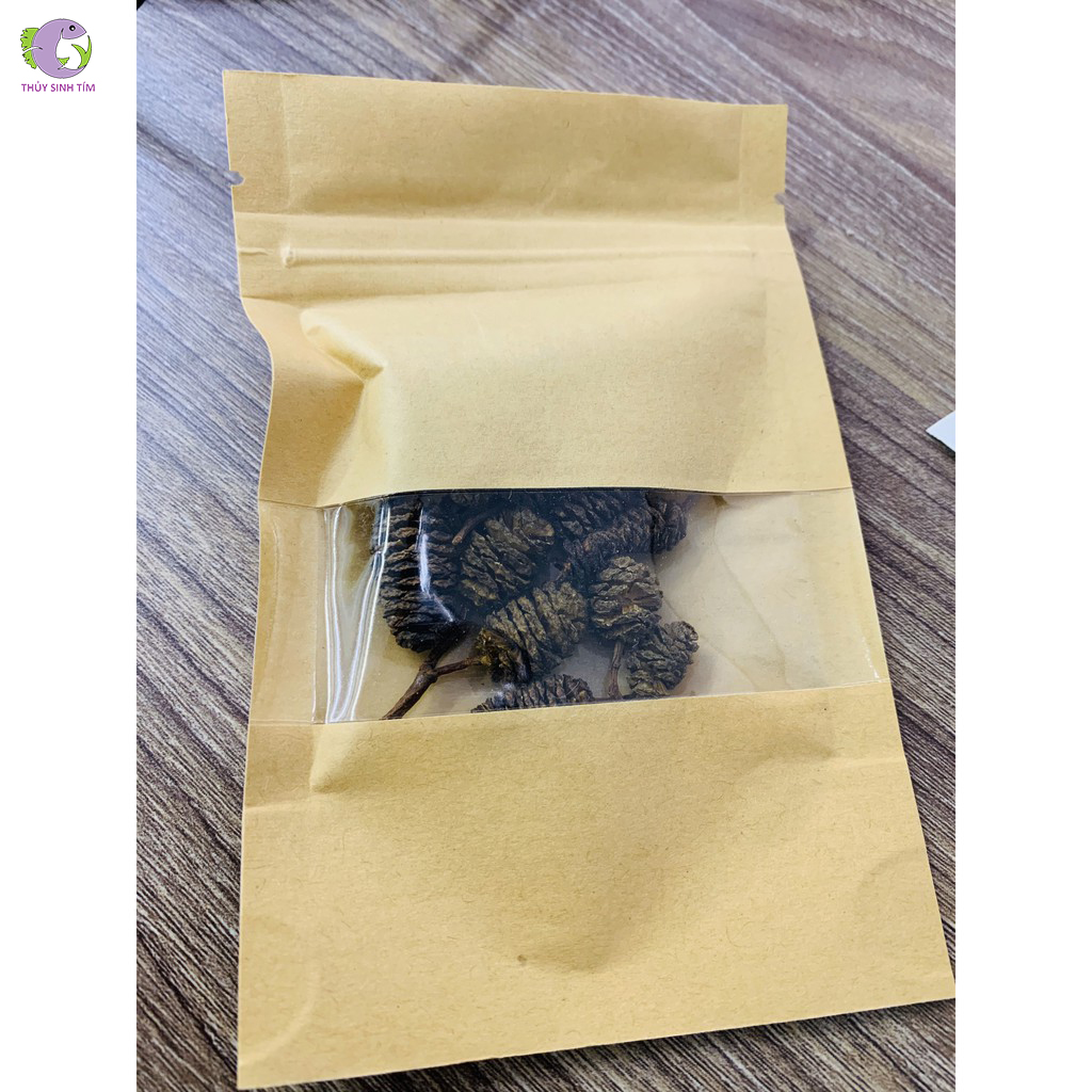 trái thông khô alder cones - 2