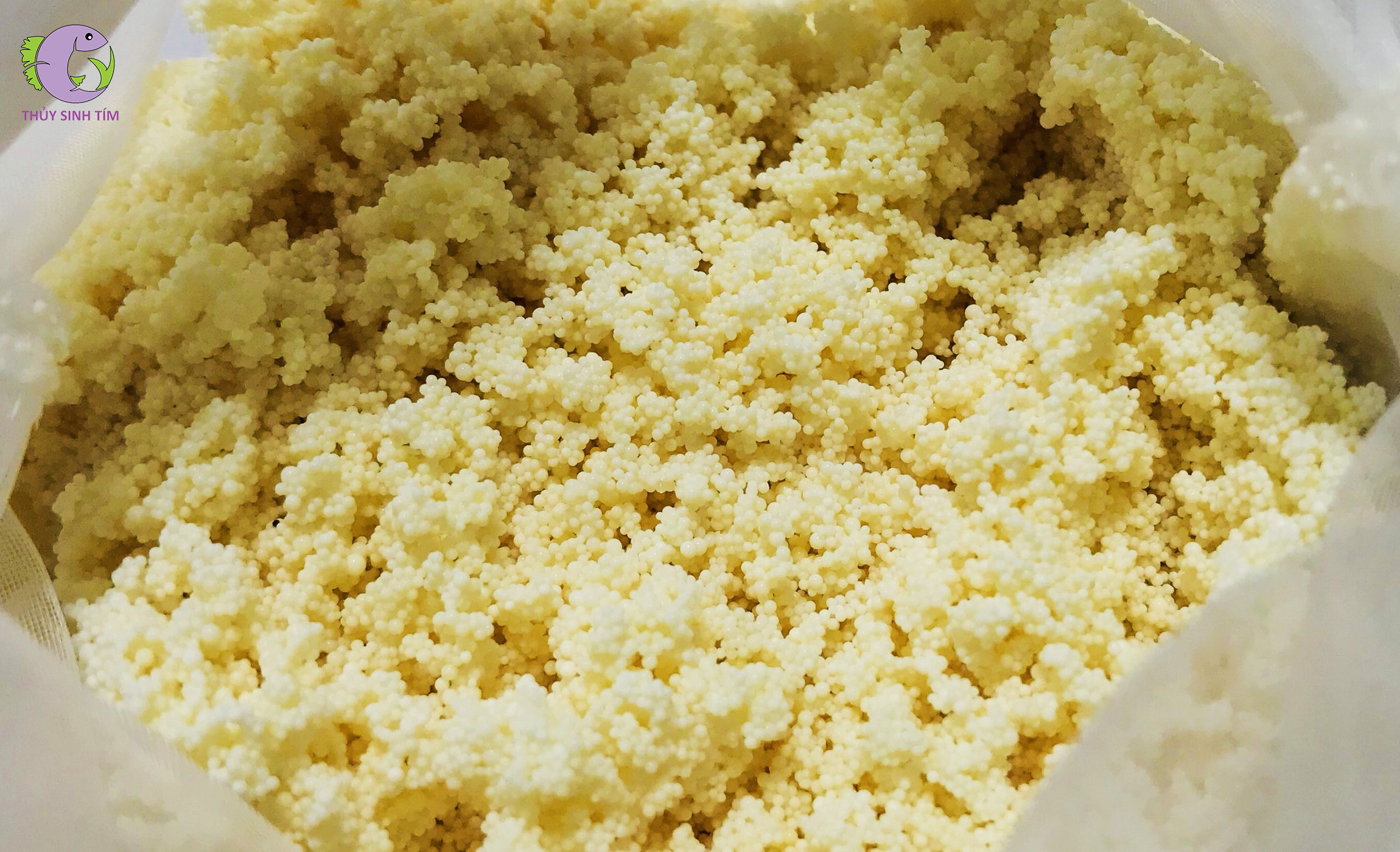 vật liệu lọc purigen sunsun 500ml - 2