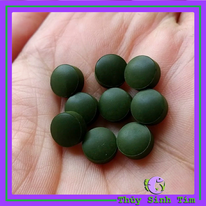 Tảo Viên Spirulina - 2