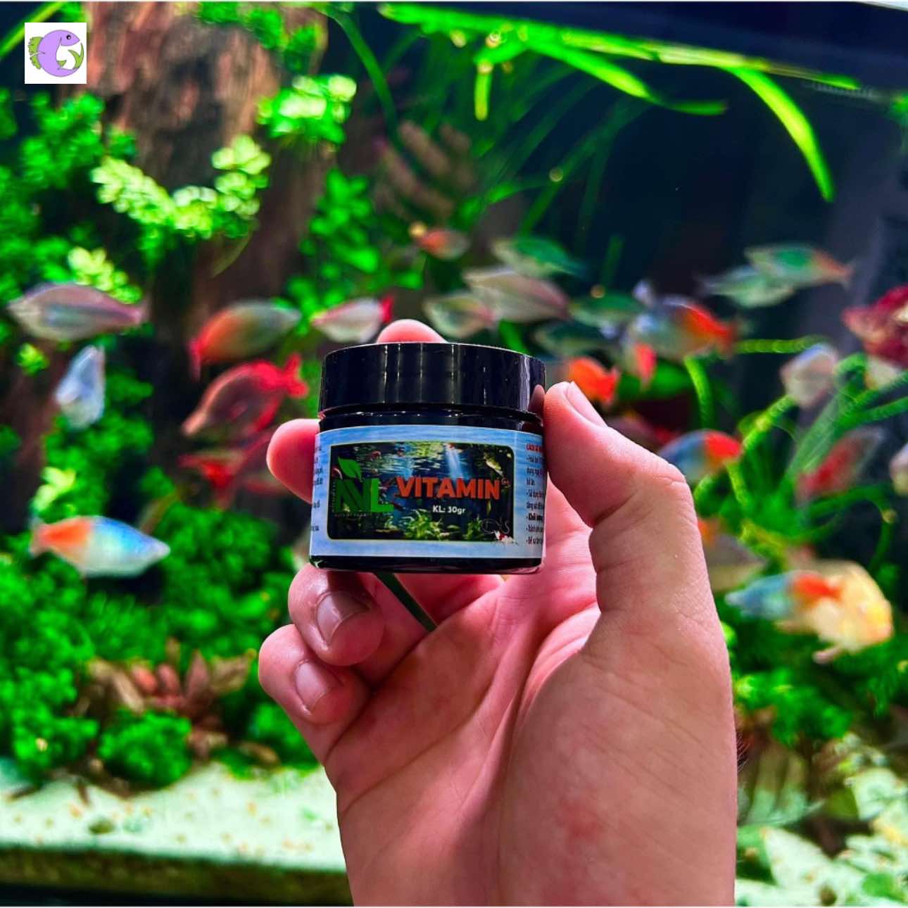 Vitamin Cho Cá Tép NVL - 1