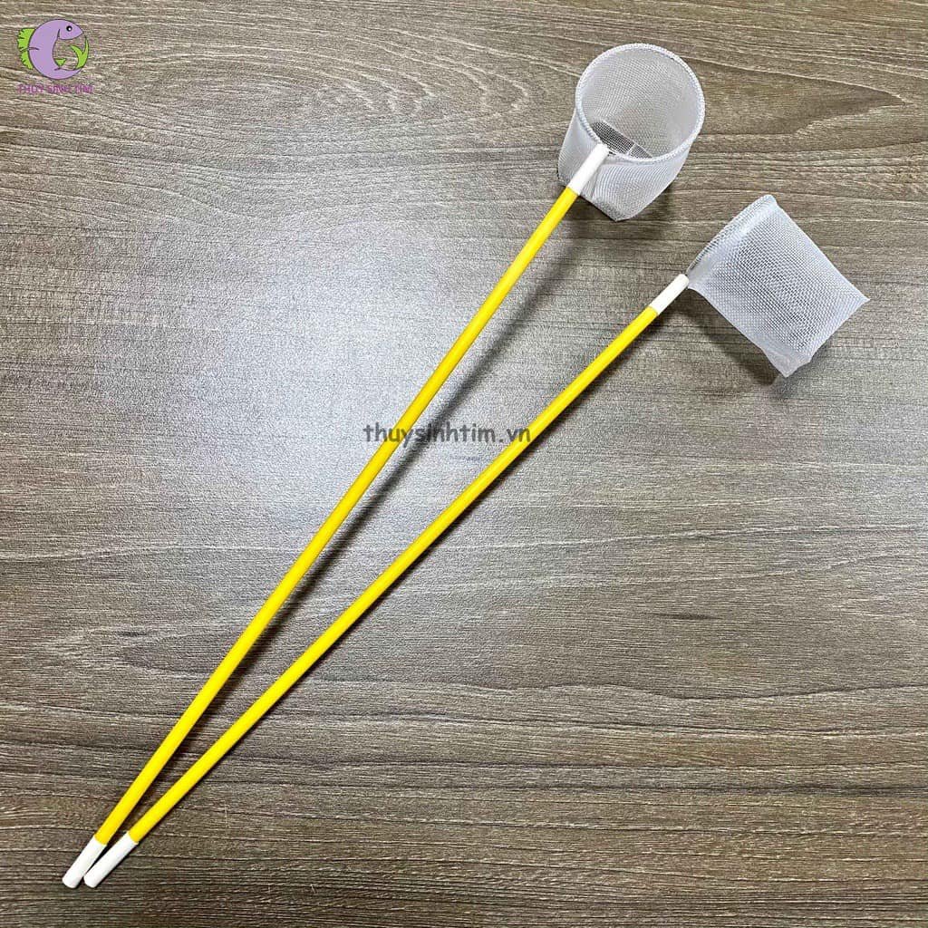 vot-dinh-hinh-can-vang-1