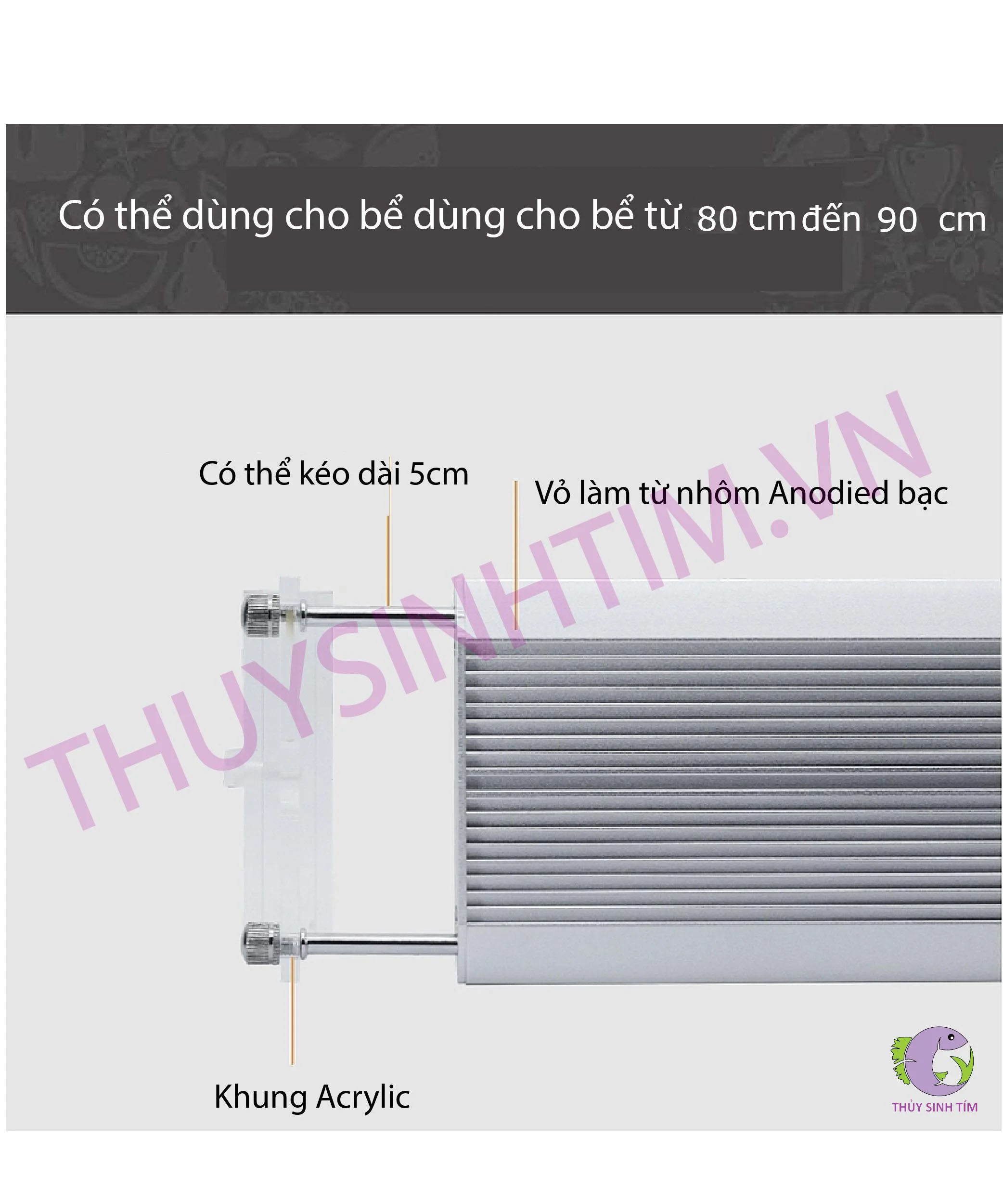 Đèn Week Raptor WRGB V800-2