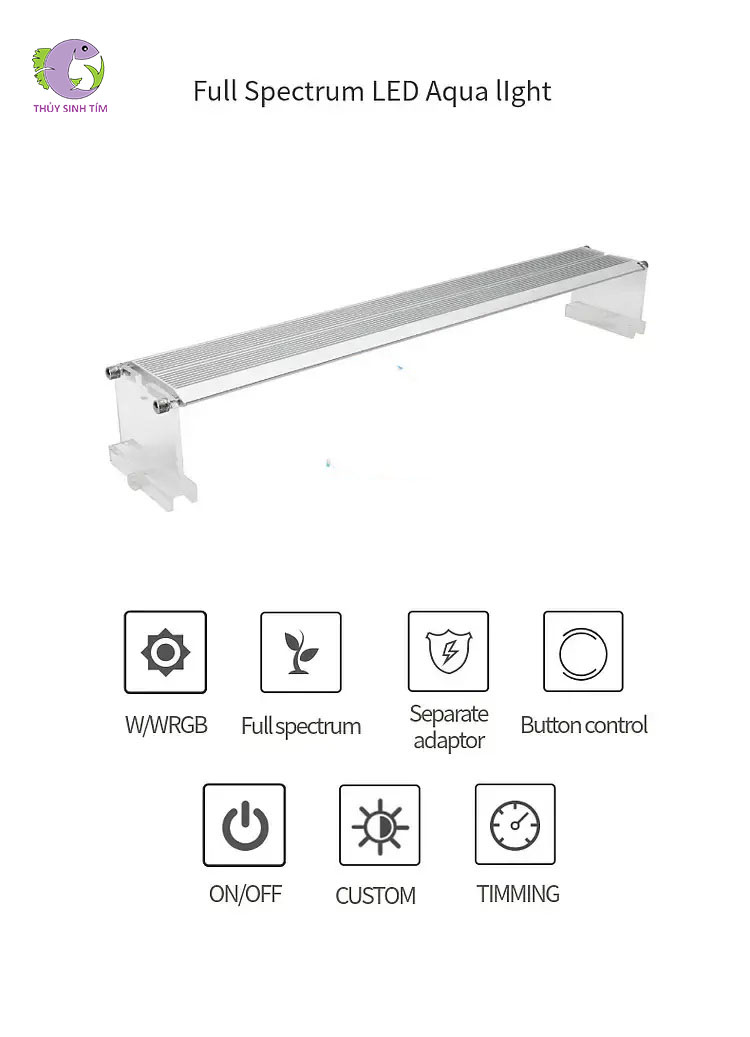 Đèn Week Raptor WRGB V800-1