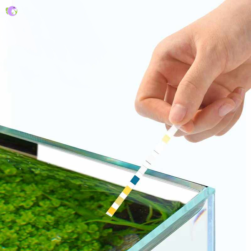 Bộ Test Chất Lượng Nước YEE - 3