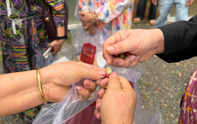 Sự kiện Tuần lễ Tự hào Cà phê Lâm Đồng 2025