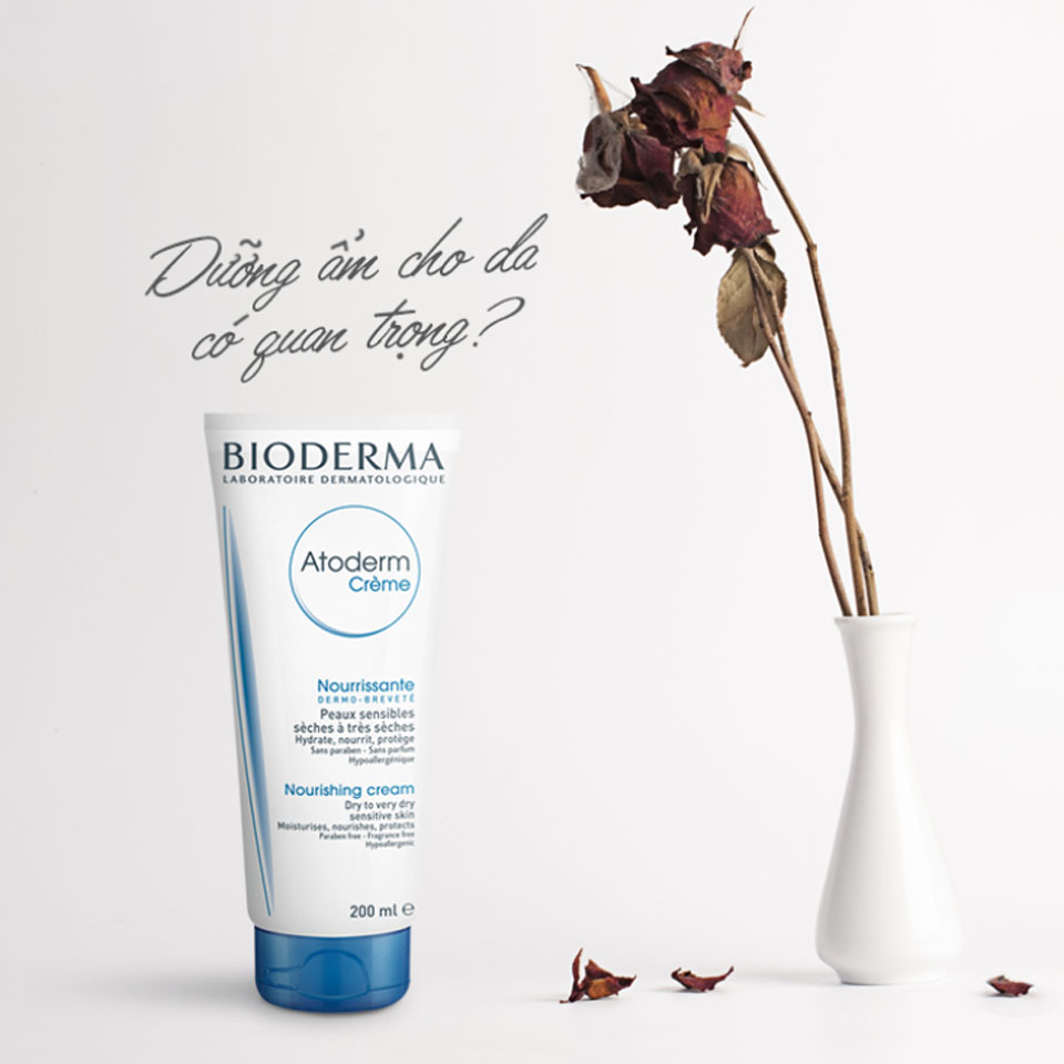 Review Gel Rửa Mặt Bioderma Atoderm Intensive - Giải Pháp Tuyệt Vời Cho Làn Da Khô Review Gel Rửa Mặt Bioderma Atoderm Intensive - Giải Pháp Tuyệt Vời Cho Làn Da Khô