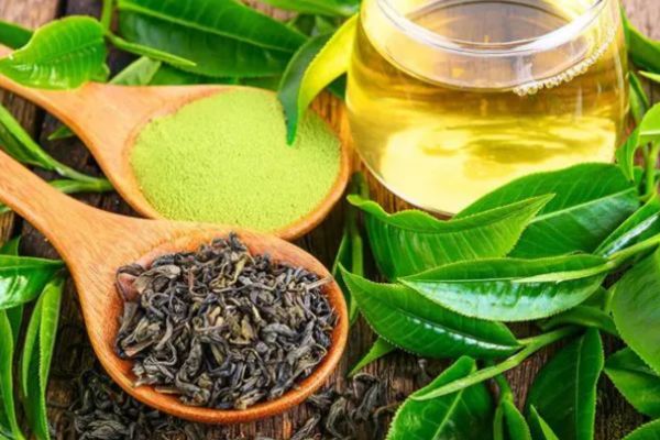 Các loại trà ngon Thái Nguyên phổ biến nhất hiện nay