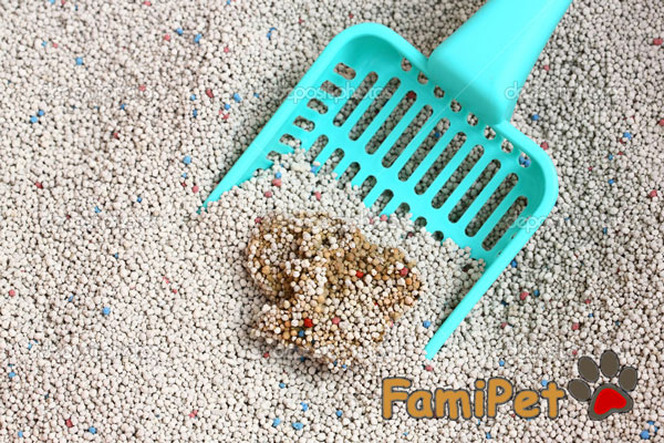 cát vệ sinh cho mèo maneki neko