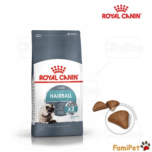 bệnh búi lồng ở mèo