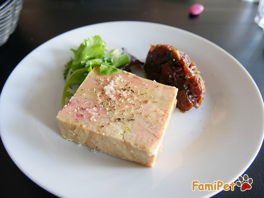 lựa chọn pate cho chó