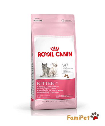 Thức Ăn Khô Cho Mèo Con Royal Canin Kitten 36