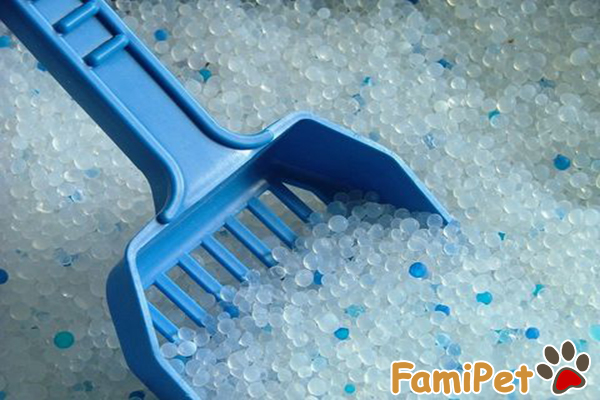 cát thủy tinh cho mèo