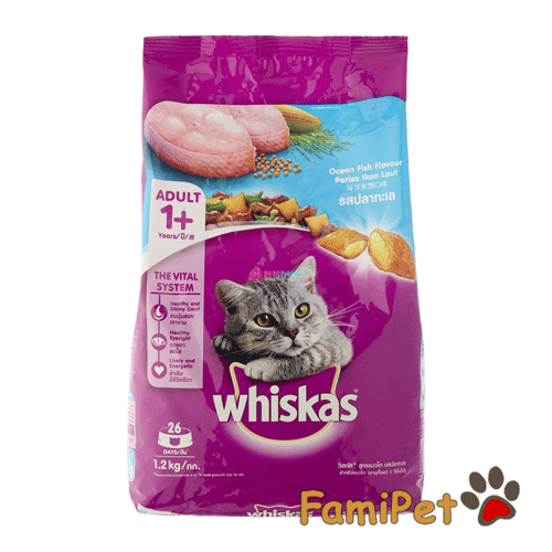 Thức ăn cho mèo Whiskas có mấy loại? Loại nào tốt cho mèo con?