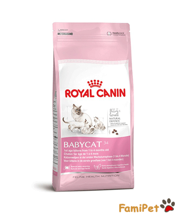 Thức Ăn Khô Cho Mèo Con Royal Canin BabyCat