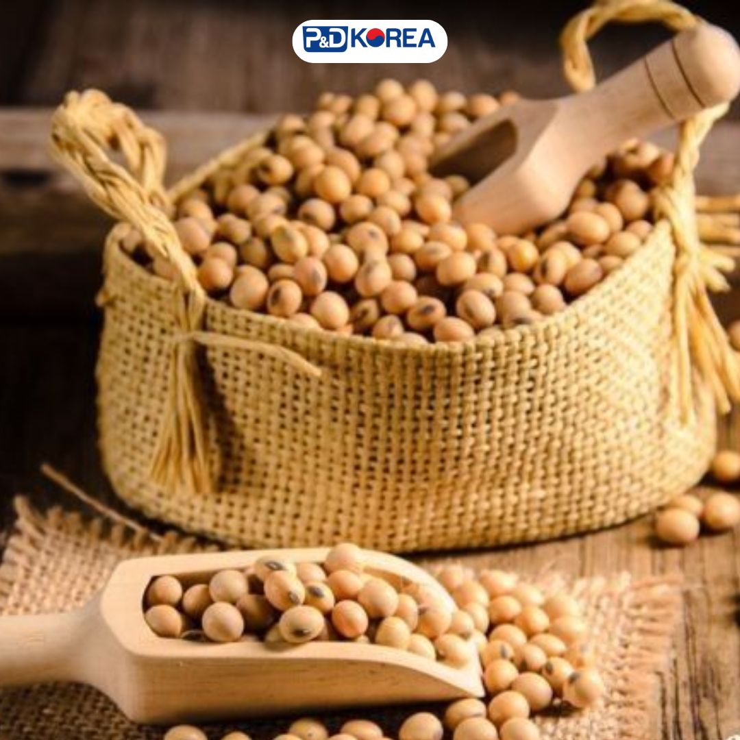Tương Đậu Nành Hàn Quốc: Khám Phá Hương Vị Đặc Trưng Từ Xứ Sở Kim Chi