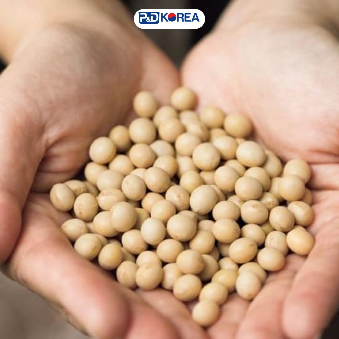 Tương Đậu Nành Hàn Quốc: Khám Phá Hương Vị Đặc Trưng Từ Xứ Sở Kim Chi