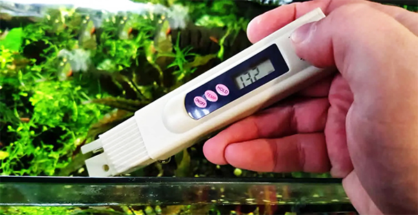 Dùng bút đo TDS kiểm tra theo dõi chất lượng nước