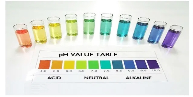 Thường xuyên kiểm tra chỉ số pH giúp bể phát triển ổn định