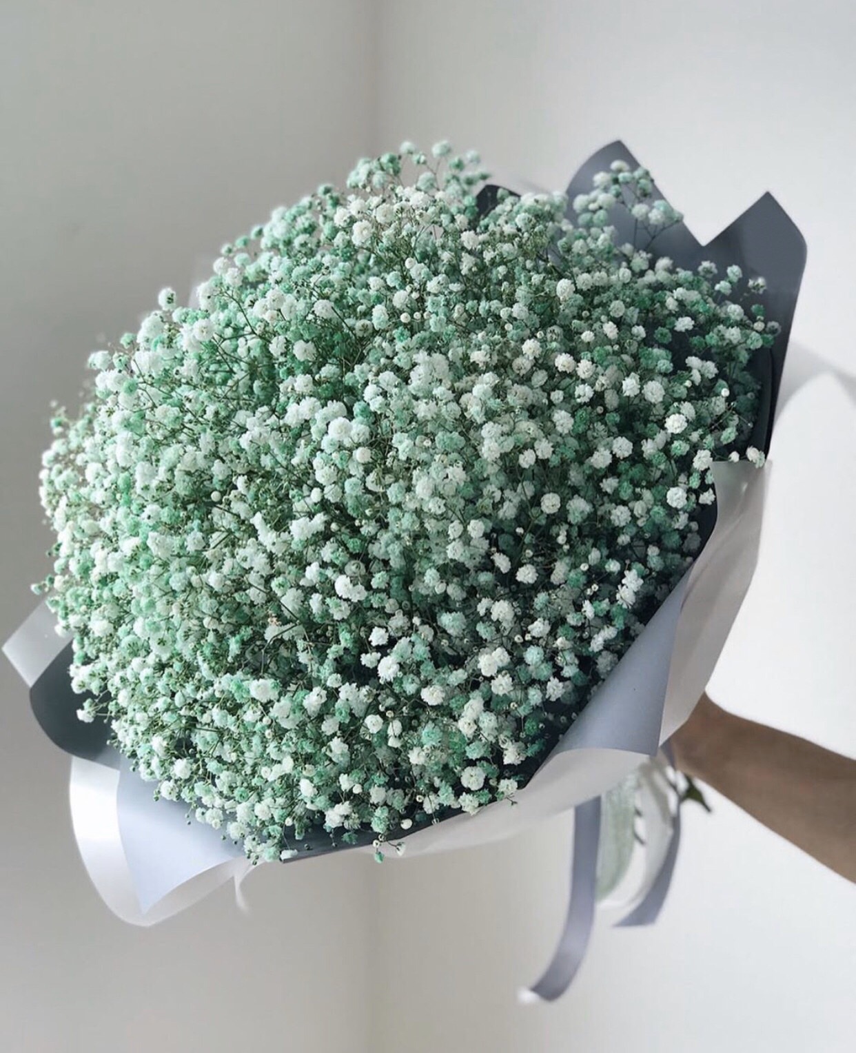 bó hoa baby trắng