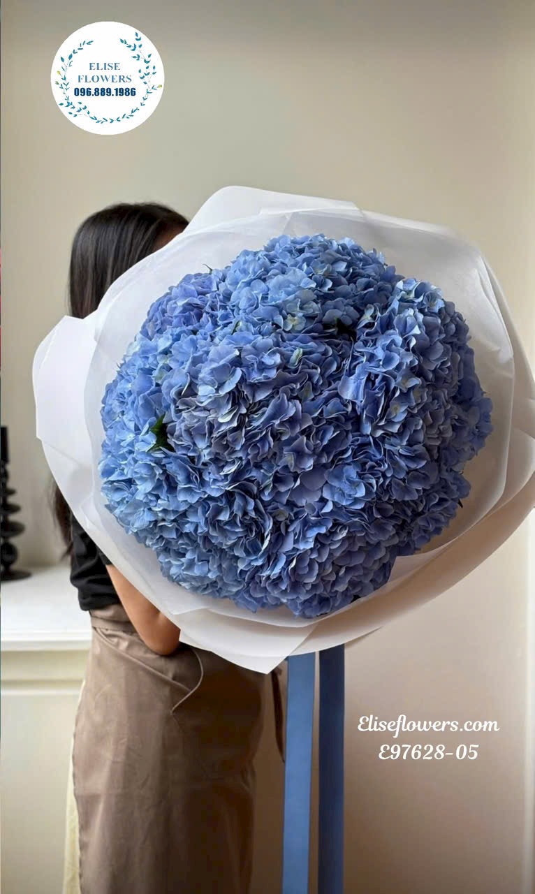 Hoa xin lỗi. Bó cẩm tú cầu 1o bông màu xanh dương tinh tế và ý nghĩa