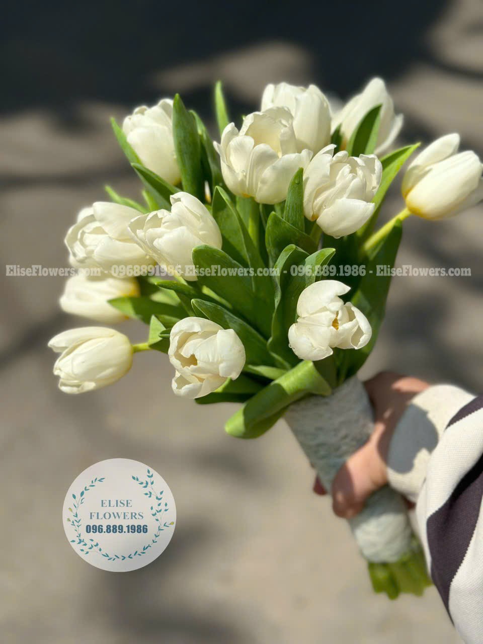 Bó hoa Tulip Hà Lan nhập khẩu | Bó hoa cưới cầm tay cô dâu thanh khiết, trong trẻo