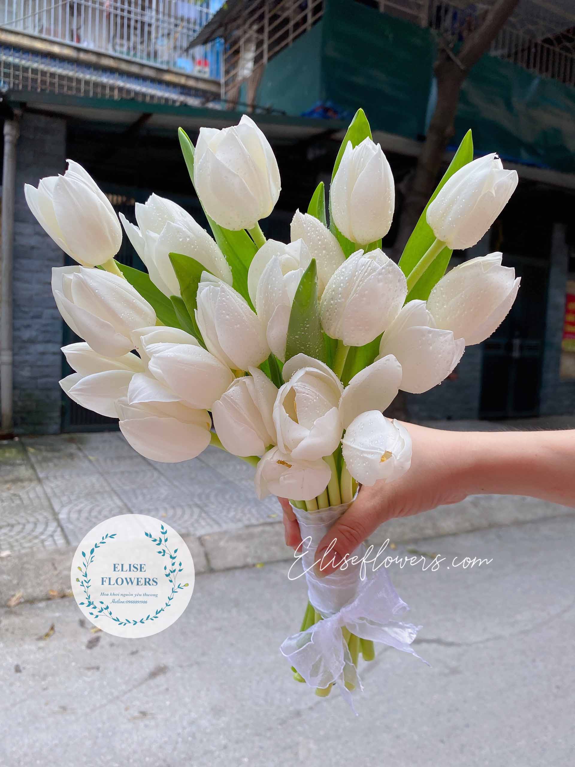 Bó hoa tulip trắng cầm tay đẹp tinh khôi - bó hoa cưới tulip trắng đẹp ở Hà Nội