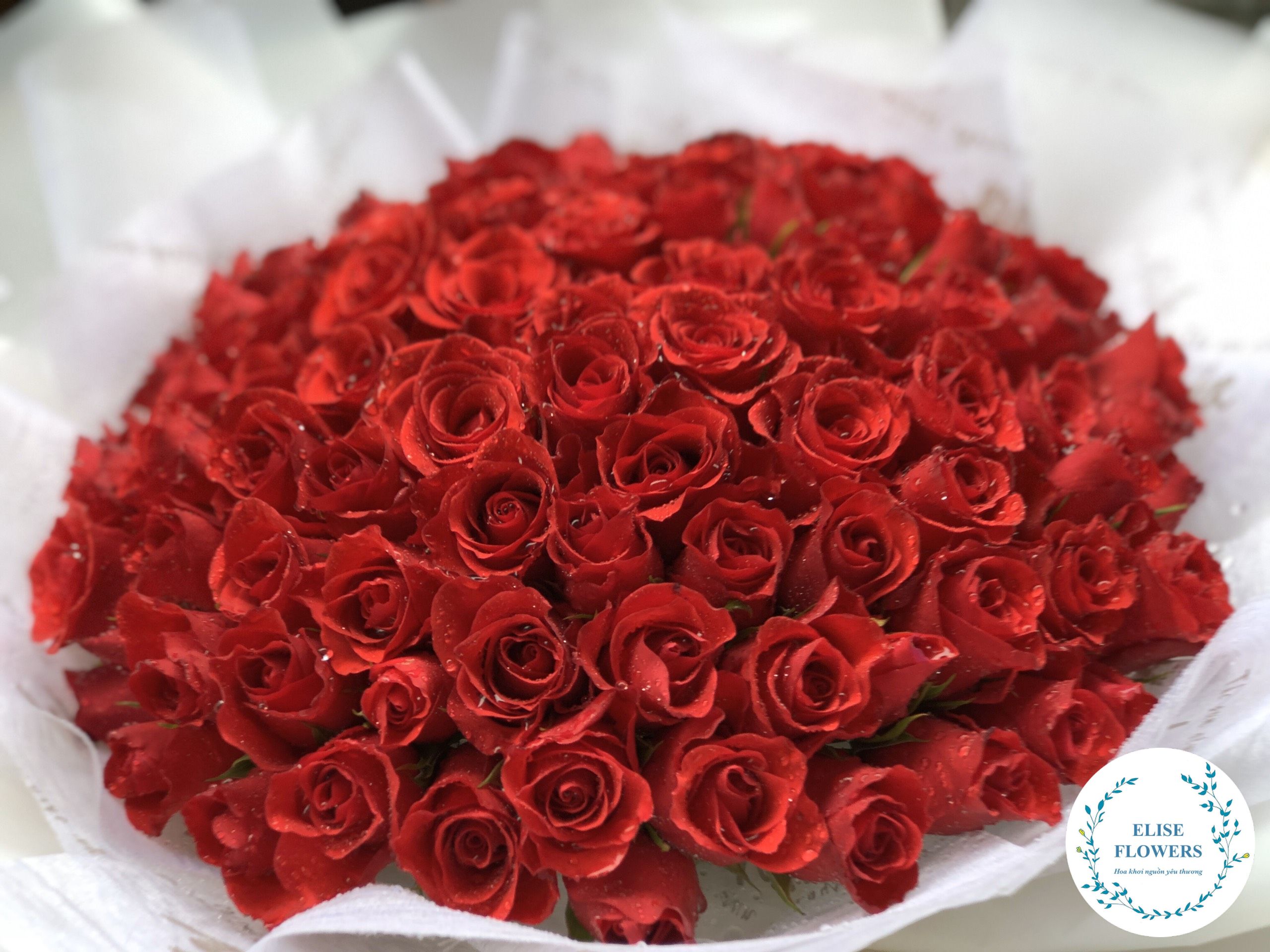 bó hoa hồng đỏ 100 bông ở hà nôi - bó hoa hồng đỏ 99 bông