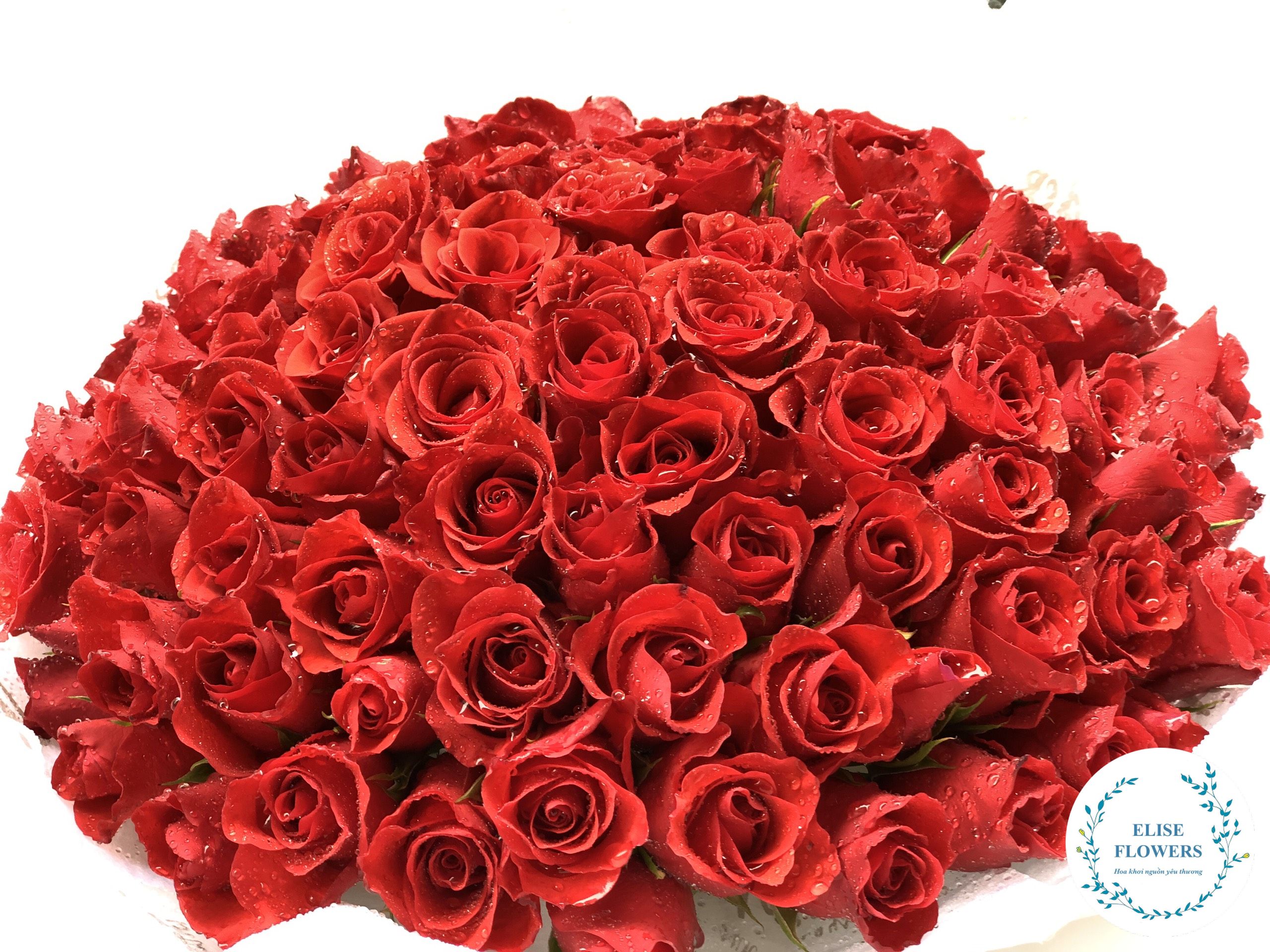 bó hoa hồng đỏ đà lạt