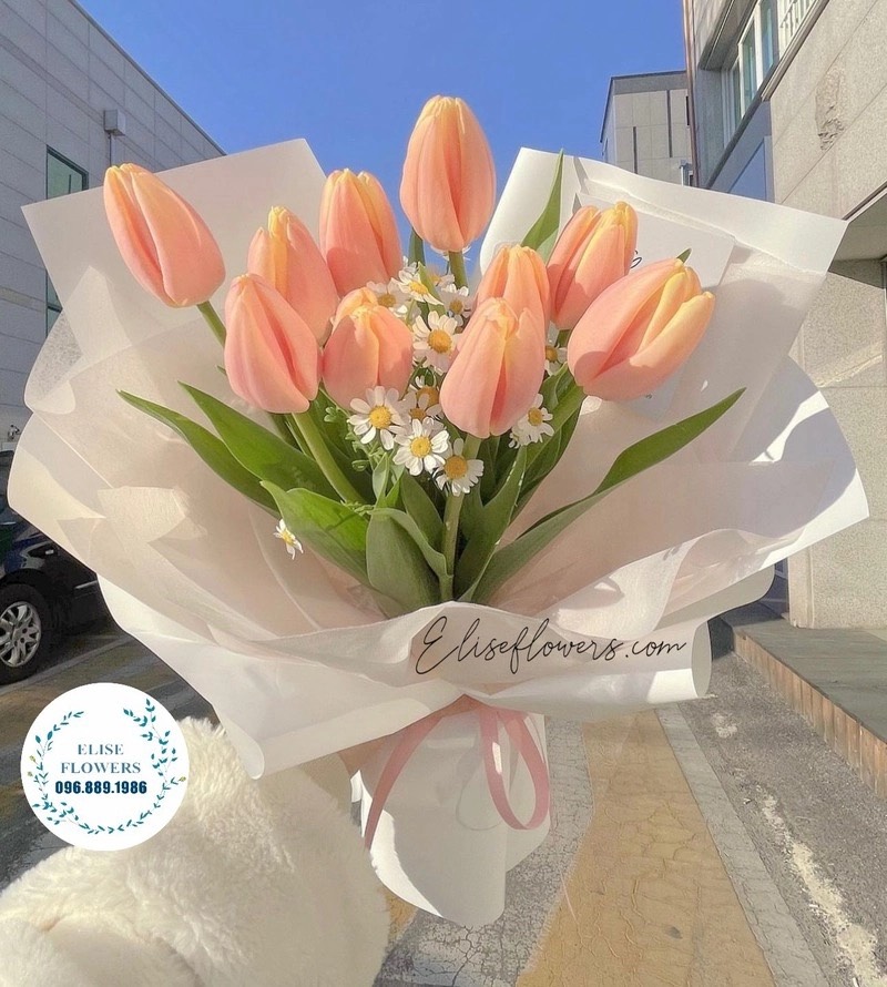 Mua hoa tulip tại Hà Nội. Bó hoa tulip đẹp màu cá hồi.cam nhạt. . HOATULIPHANOI . Elise Flowers