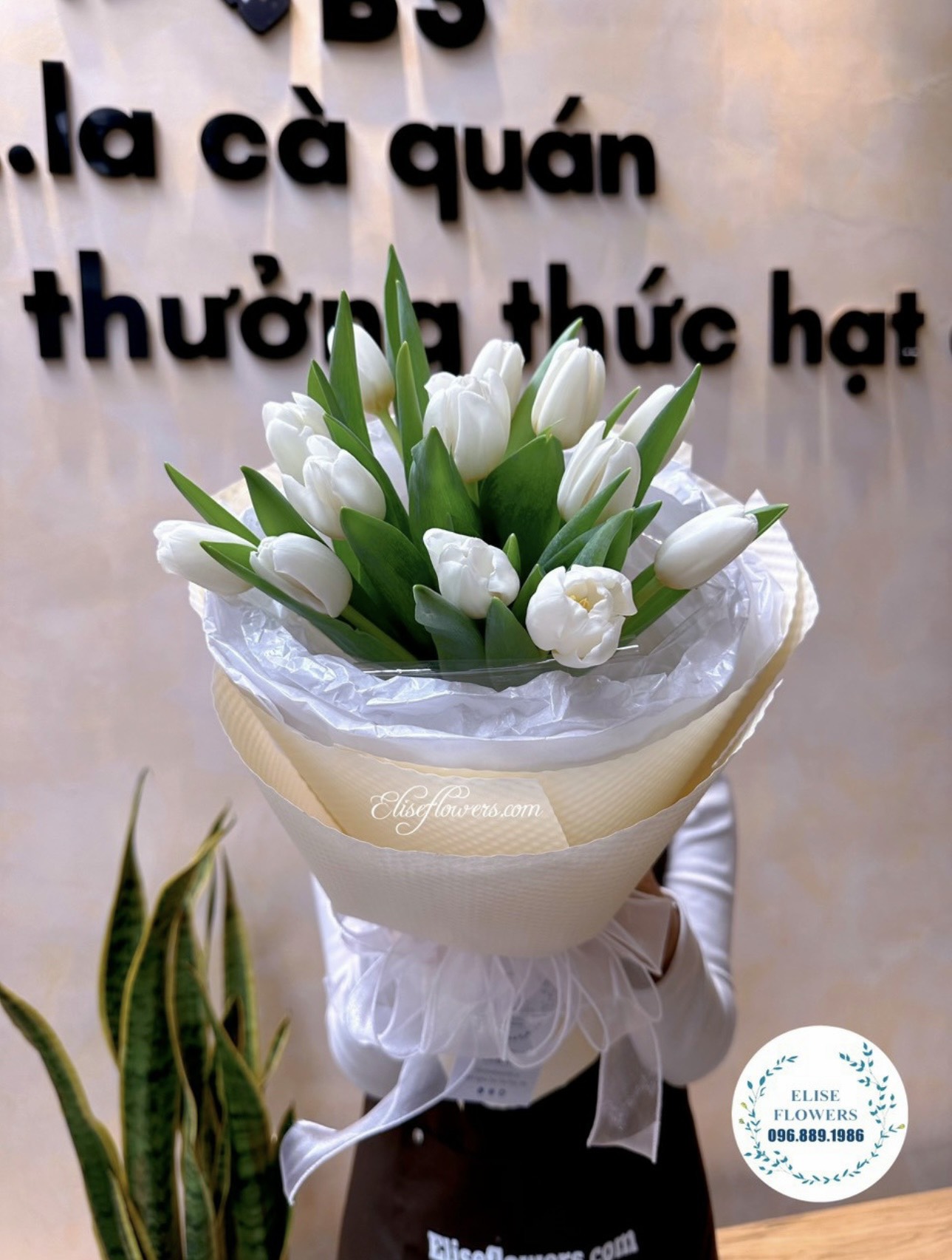 Bó hoa tulip đẹp tặng sinh nhật ở quận Cầu Giấy. HOA TULIP CẦU GIẤY.