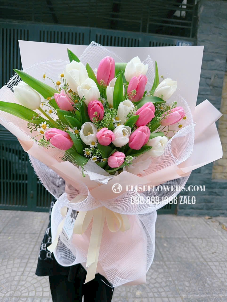 Mua hoa tulip ngày 20/10 ở hà nội. đặt hoa tulip ngày 2010 ở Hà Nội