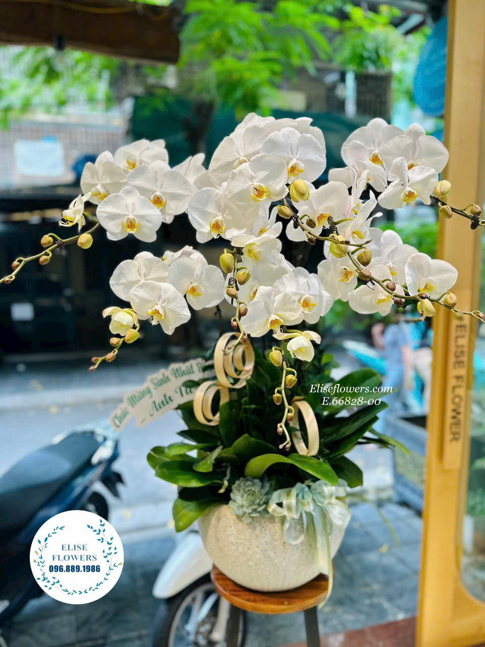 Chậu hoa khai trương Hà Nội. Đặt mua chậu hoa khai trương cao cấp ở Hà Nội