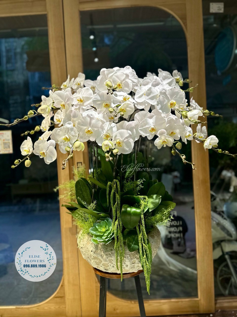 chau-hoa-lan-ho-diep-trang-dat-hoa-lan-ho-diep-cao-cap-o-ha-noi