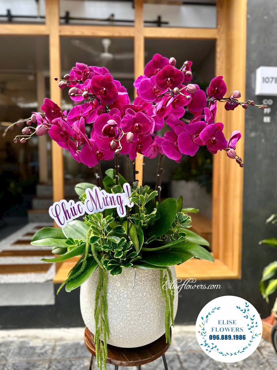 Điện hoa lan hồ điệp tặng sếp. Dịch vụ giao hoa lan hồ điệp tặng sếp