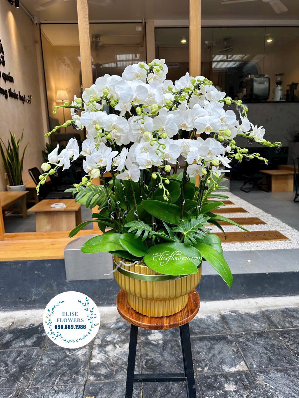 Mẫu hoa lan hồ điệp cao cấp. Dịch vụ đặt chậu hoa lan hồ điệp cao cấp ở Hà Nội