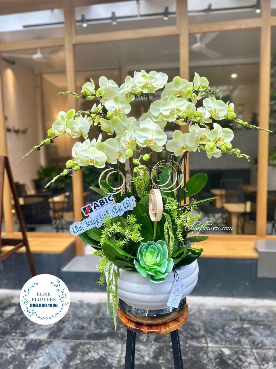 Chậu hoa lan hồ điệp cao cấp ở Hà Nội. Đặt hoa lan hồ điệp đẹp