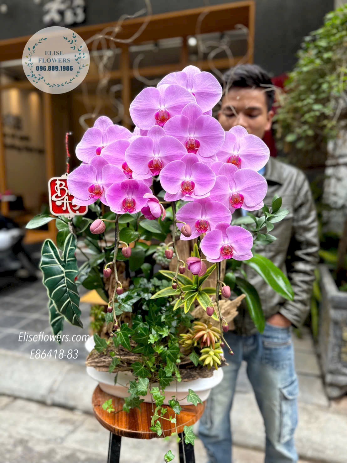 Lan hồ điệp trang trí phòng khách sang trọng. Lan hồ điệp chơi Tết. Eliseflowers