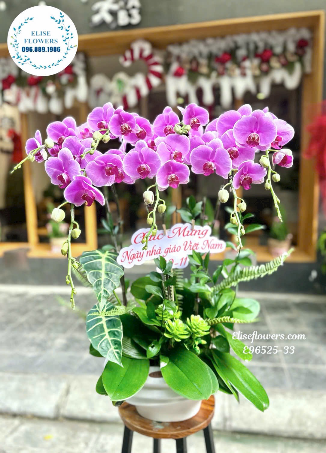 Đặt hoa Lan Hồ Điệp Tím 7 cành online tại Eliseflowers, giao nhanh tận nơi khu vực Bắc Từ Liêm
