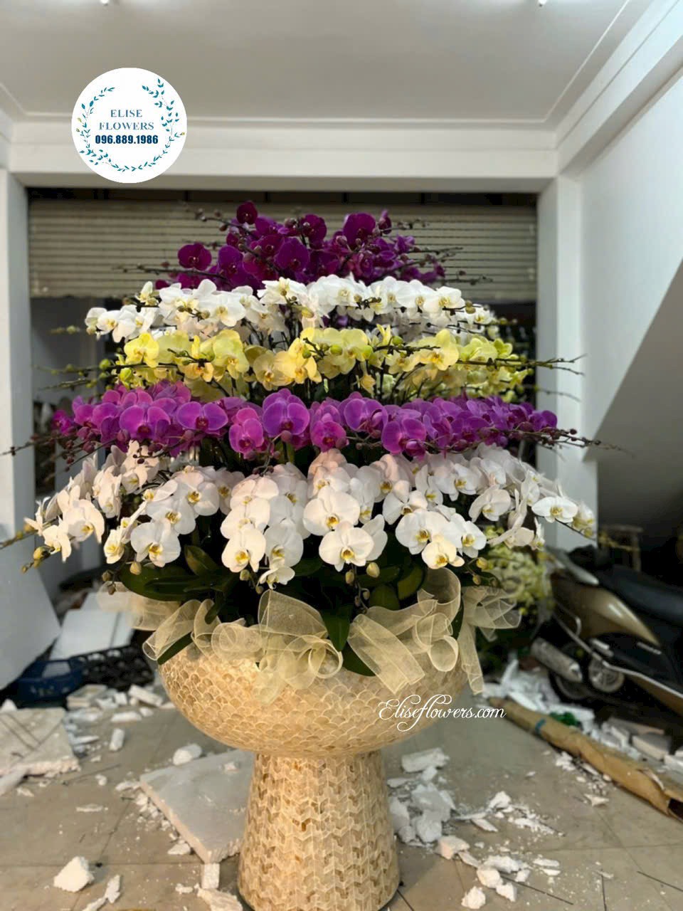 Điện hoa lan hồ điệp cao cấp tại Hà Nội. Giao hoa lan hồ điệp HÀ NỘI