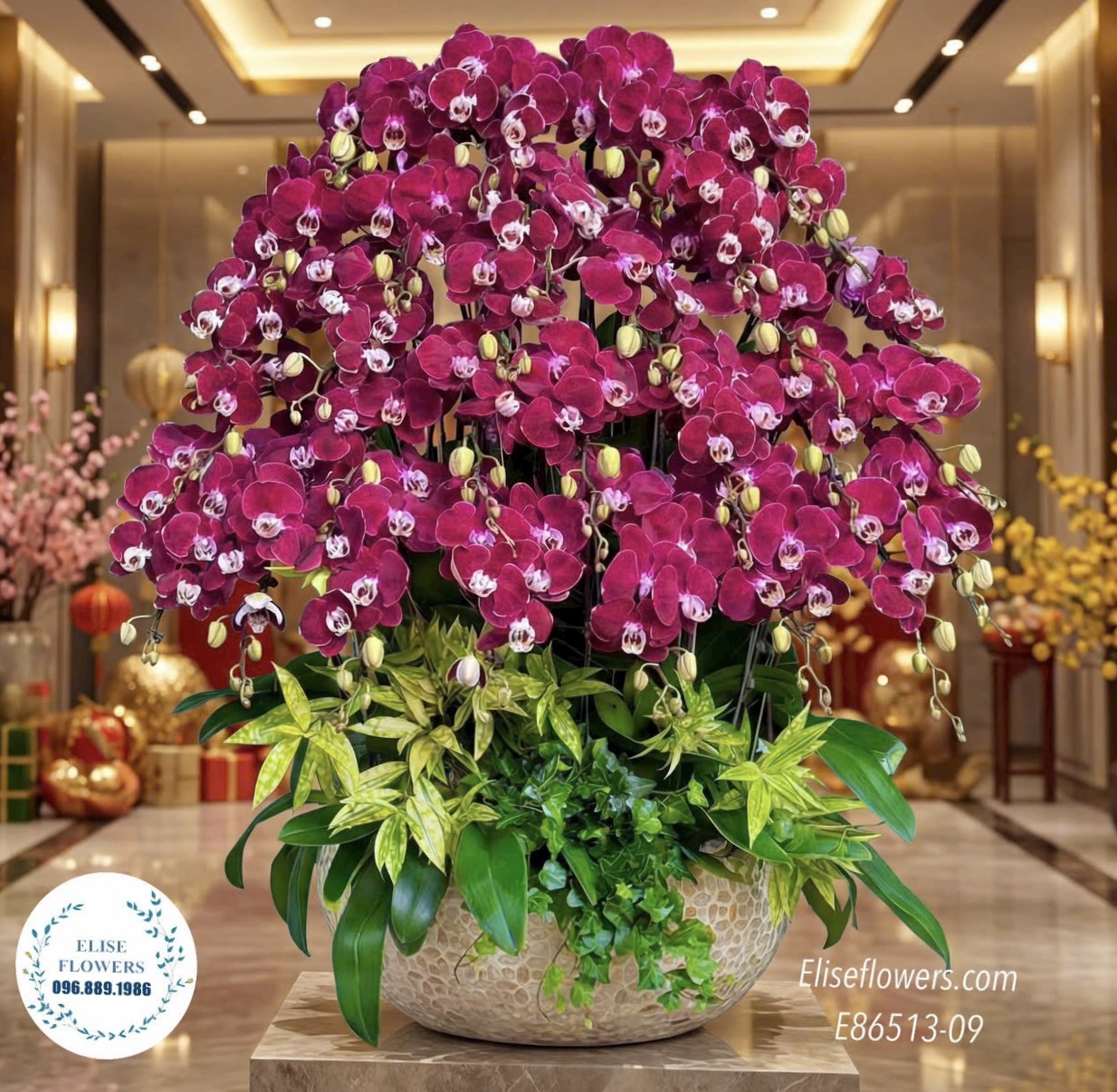 Lan hồ điệp sinh nhật. Chậu lan hồ điệp đỏ ngọc trai đẳng cấp tặng sếp, đối tác. Địa chỉ mua hoa uy tín